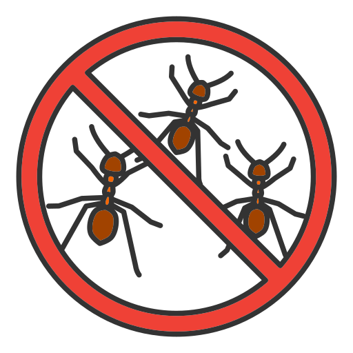 Insect 1