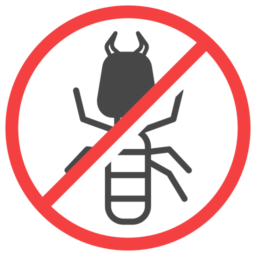 Insect 2