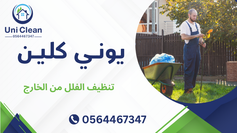 تنظيف الفلل من الخارج