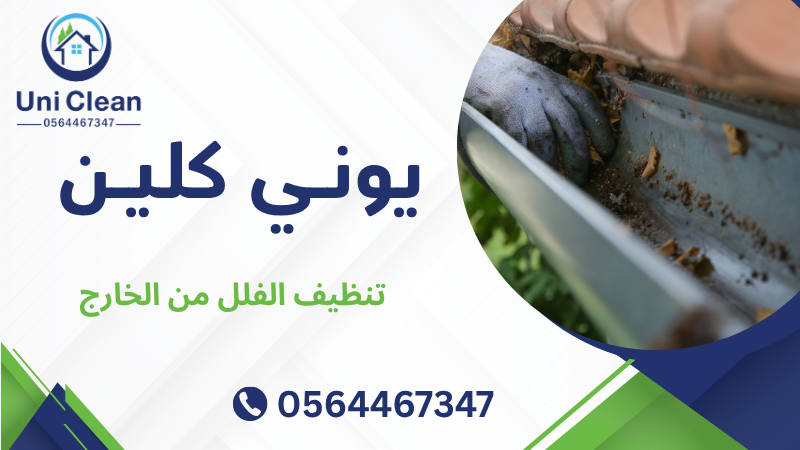 تنظيف الفلل من الخارج