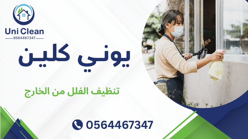 تنظيف الفلل من الخارج