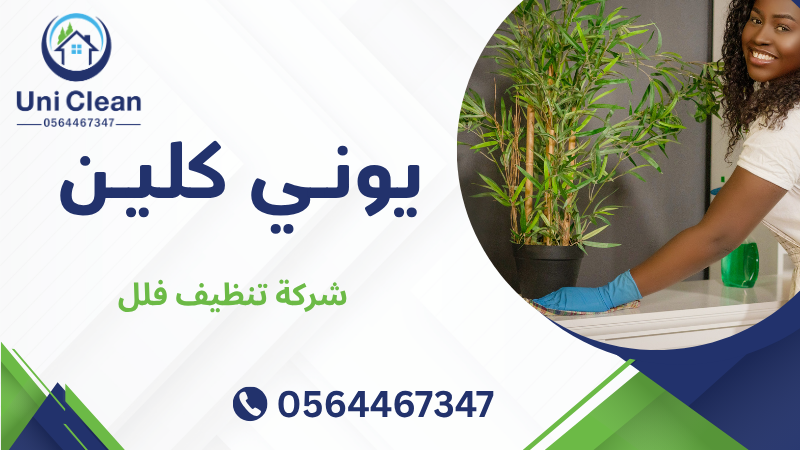 شركة تنظيف فلل