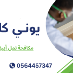 مكافحة نمل أبيض دبي
