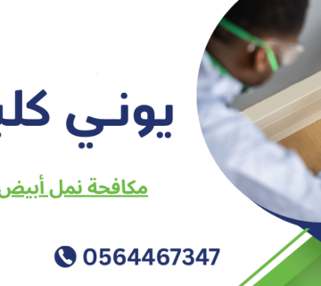 مكافحة نمل أبيض دبي