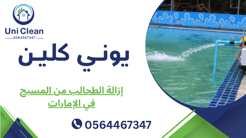 إزالة الطحالب من المسبح في الإمارات