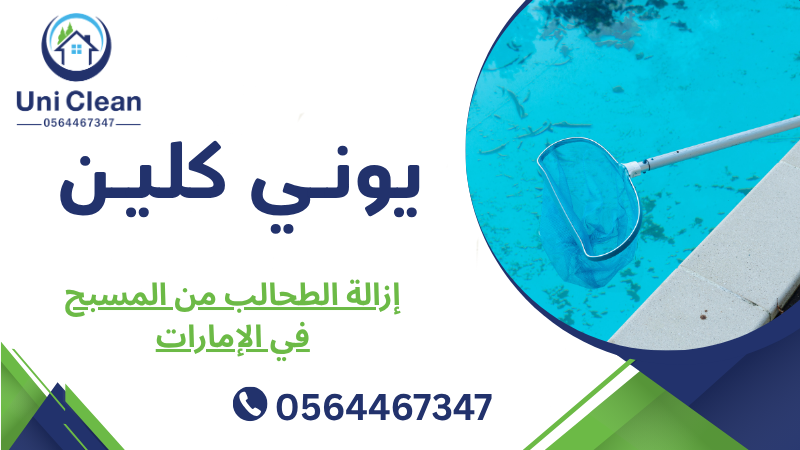 إزالة الطحالب من المسبح في الإمارات
