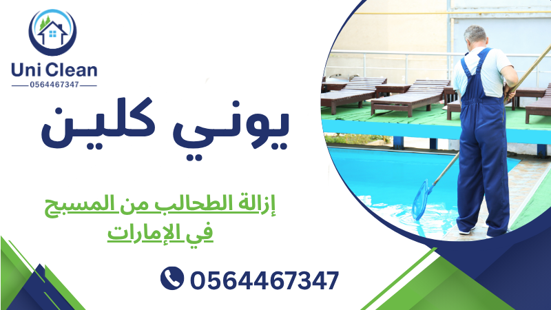 إزالة الطحالب من المسبح في الإمارات