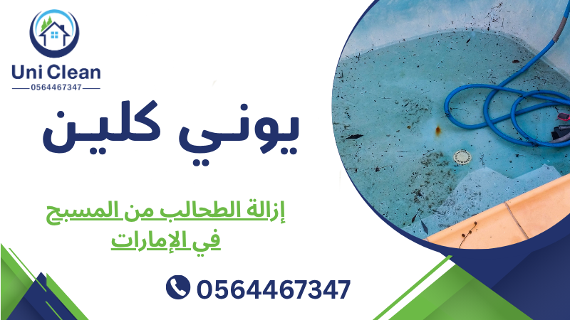 إزالة الطحالب من المسبح في الإمارات