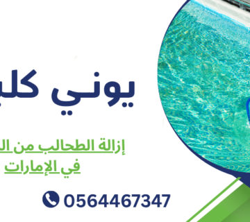 إزالة الطحالب من المسبح في الإمارات