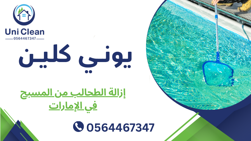 إزالة الطحالب من المسبح في الإمارات