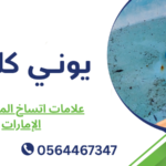 علامات اتساخ المسبح في الإمارات